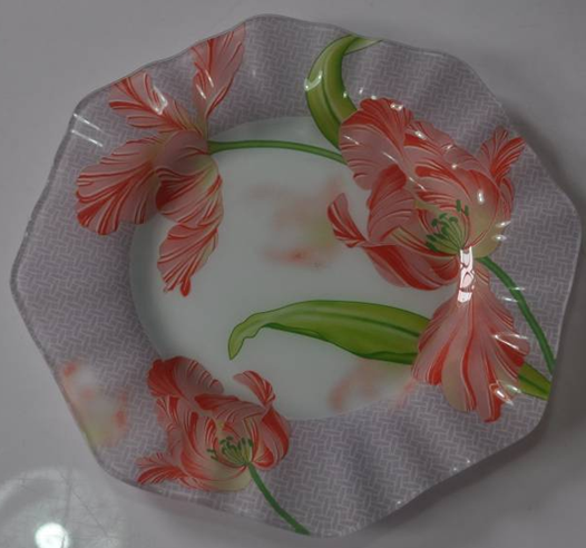 Glass Plate