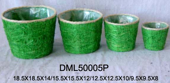 Grass Flower pot