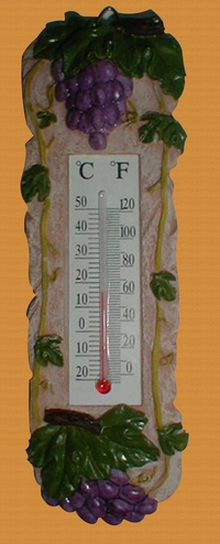 Resin decorative Thermometer