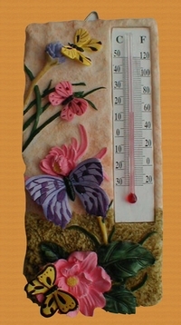 Resin decorative Thermometer