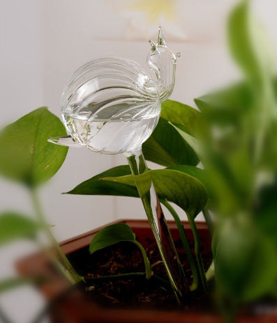 Glass Pot humidifiers