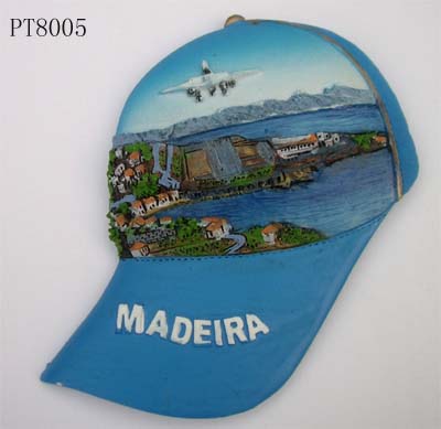 Resin Souvenir magnet