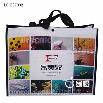 Shopping Bag