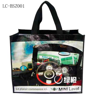 Shopping Bag