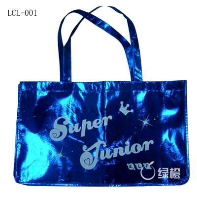 Shopping Bag