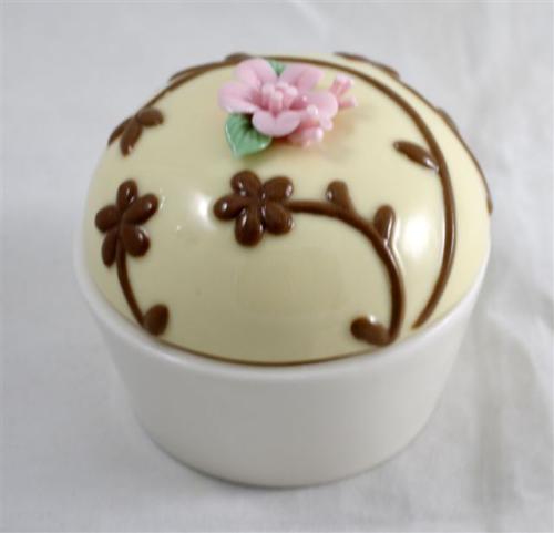 Ceramic Cake case