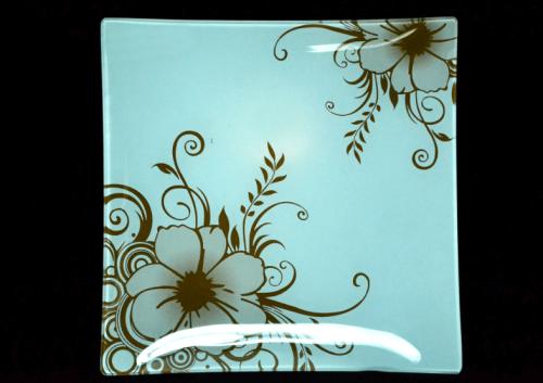 Glass Plate